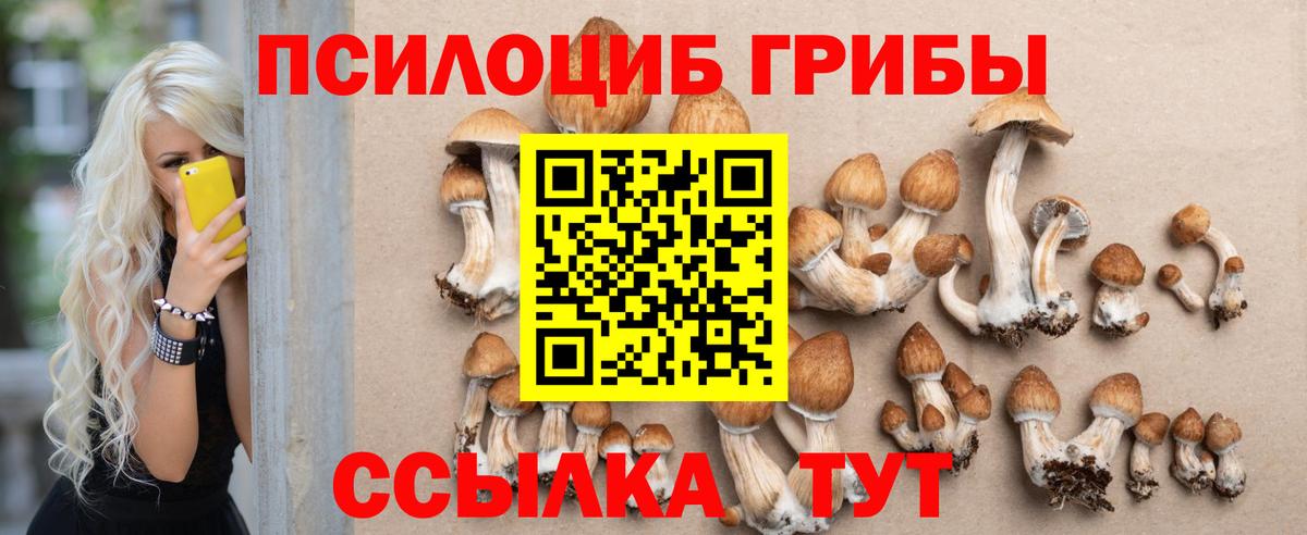 Нягань  Галлюциногенные грибы мухоморы  Псилоцибиновые грибы мухоморы  Вход с VPN 
