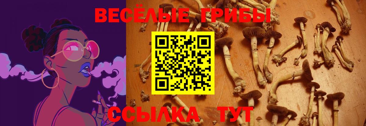 Галлюциногенные грибы Magic Shrooms Нягань